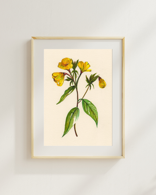 Watercolor Print Wildflower