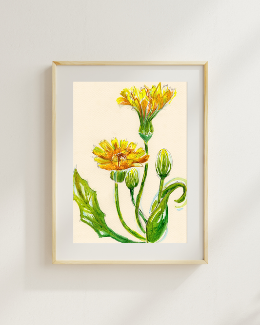 Watercolor Print Wildflower