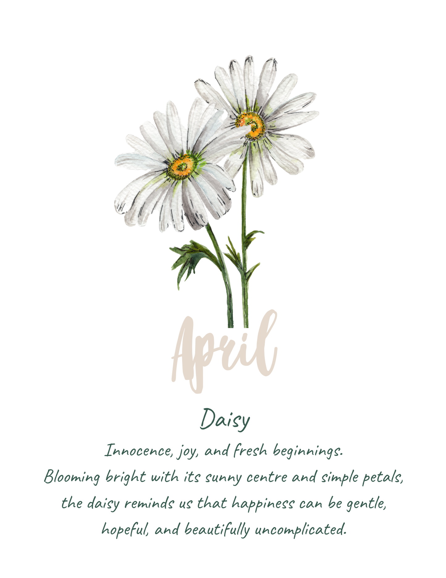 Birth flower meaning prints