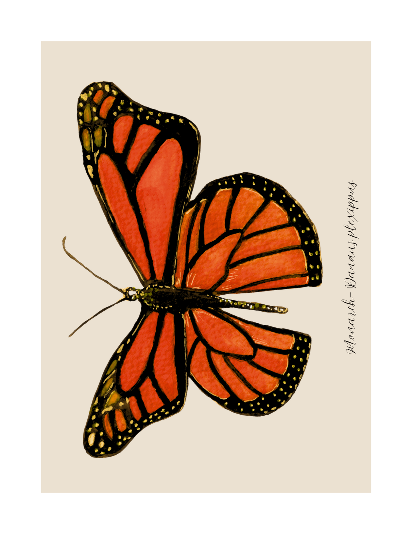 Monarch butterfly print
