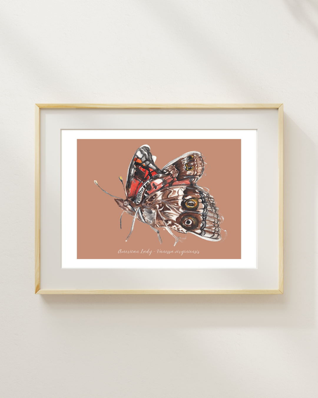 American Lady butterfly print