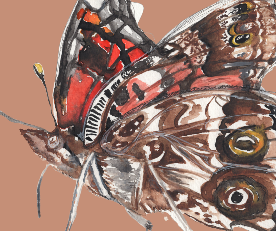 American Lady butterfly print