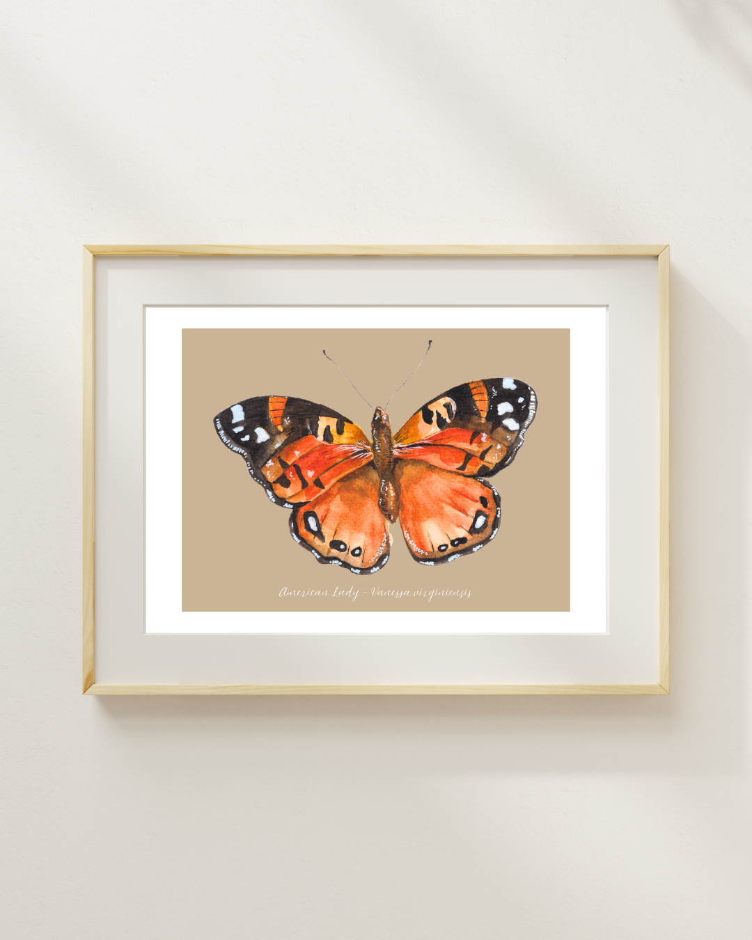 American Lady butterfly print