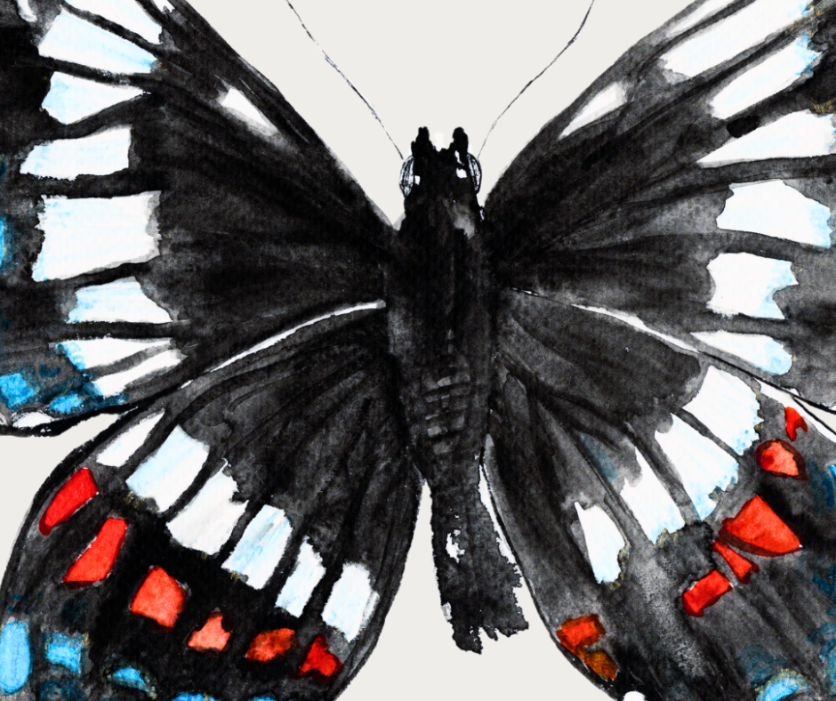 White Admiral butterfly print