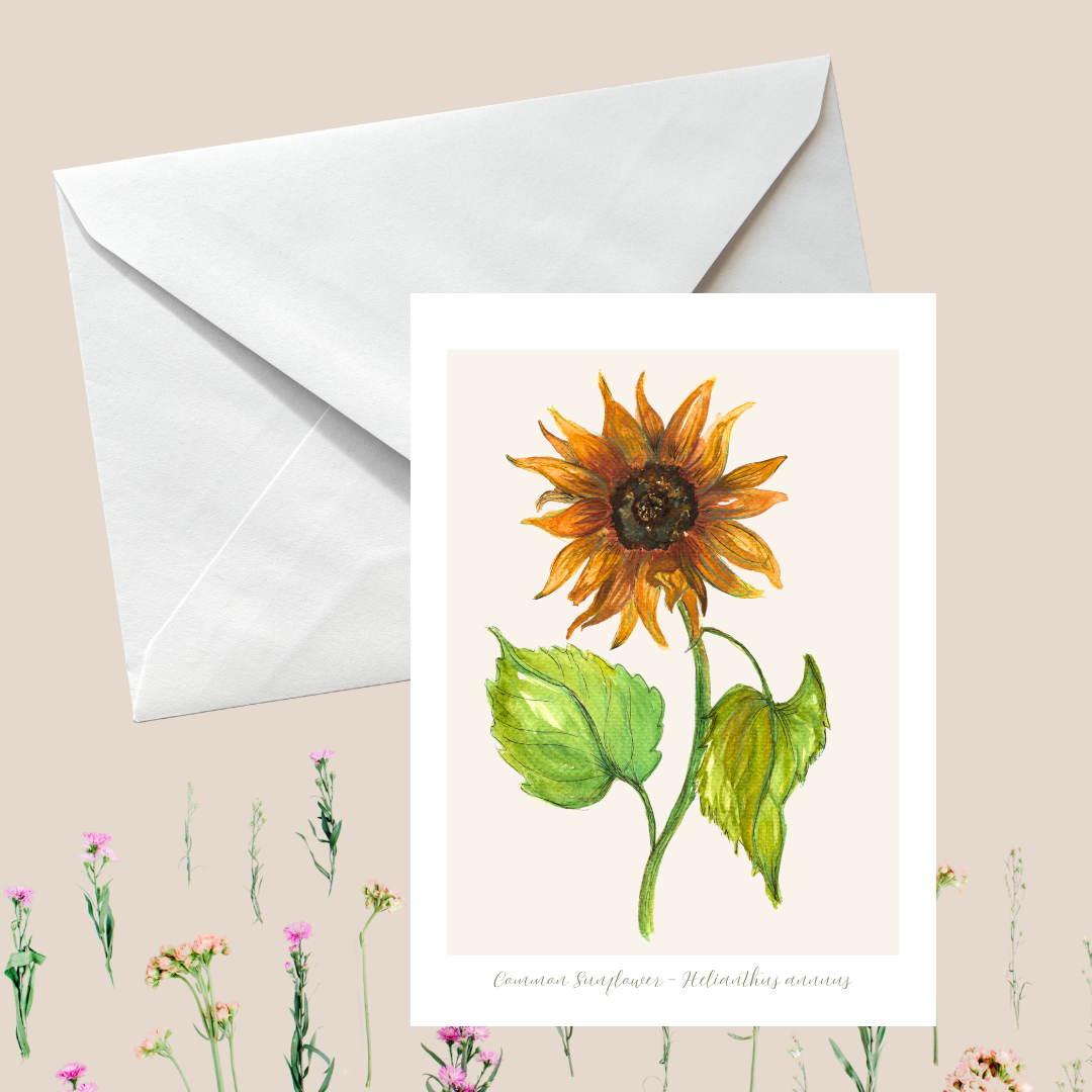 Sunflower Botanical Greeting Card