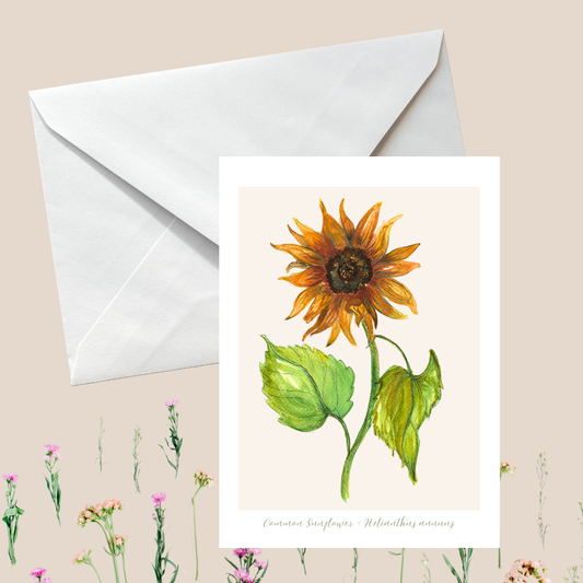 Sunflower Botanical Greeting Card