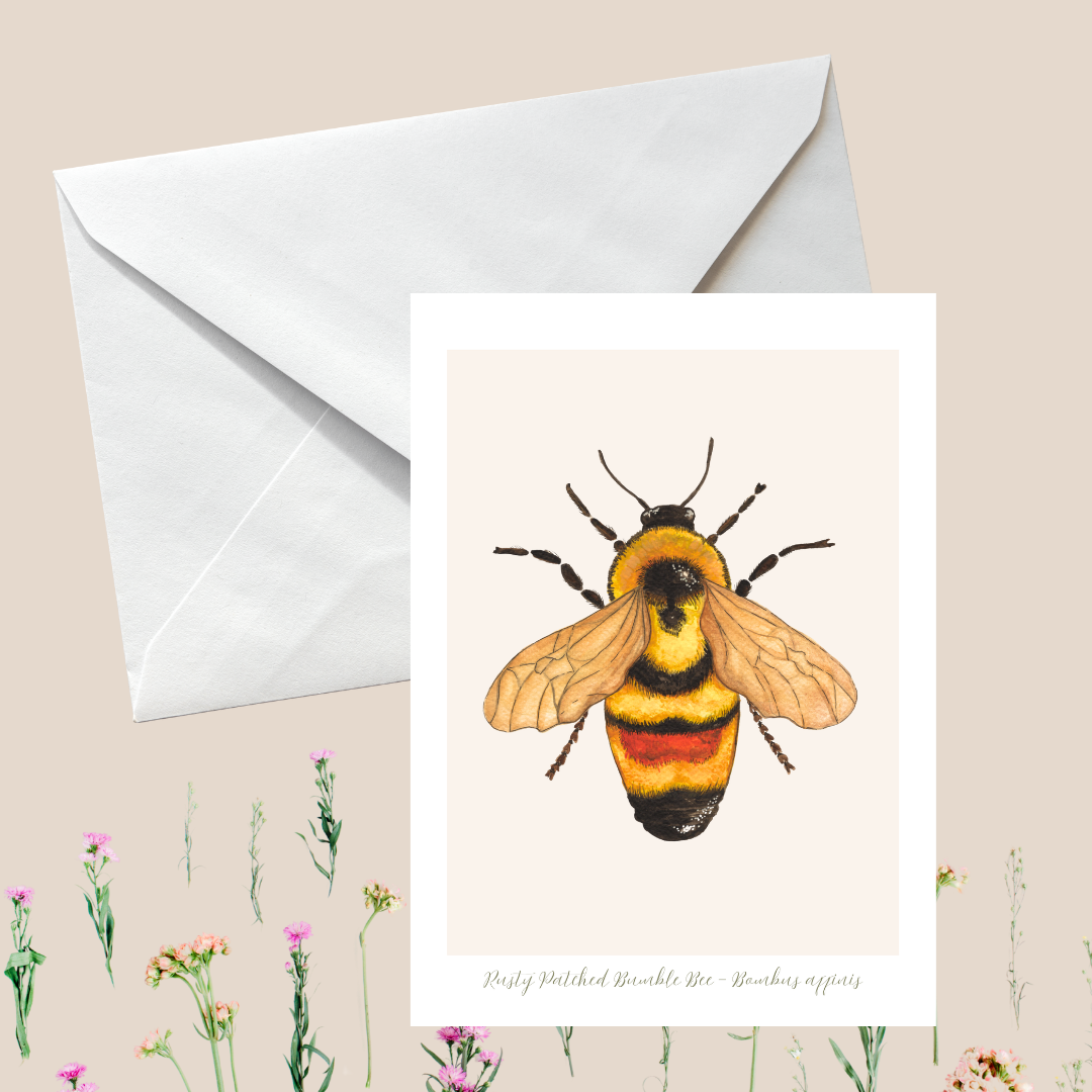 Bumblebee Greeting Card