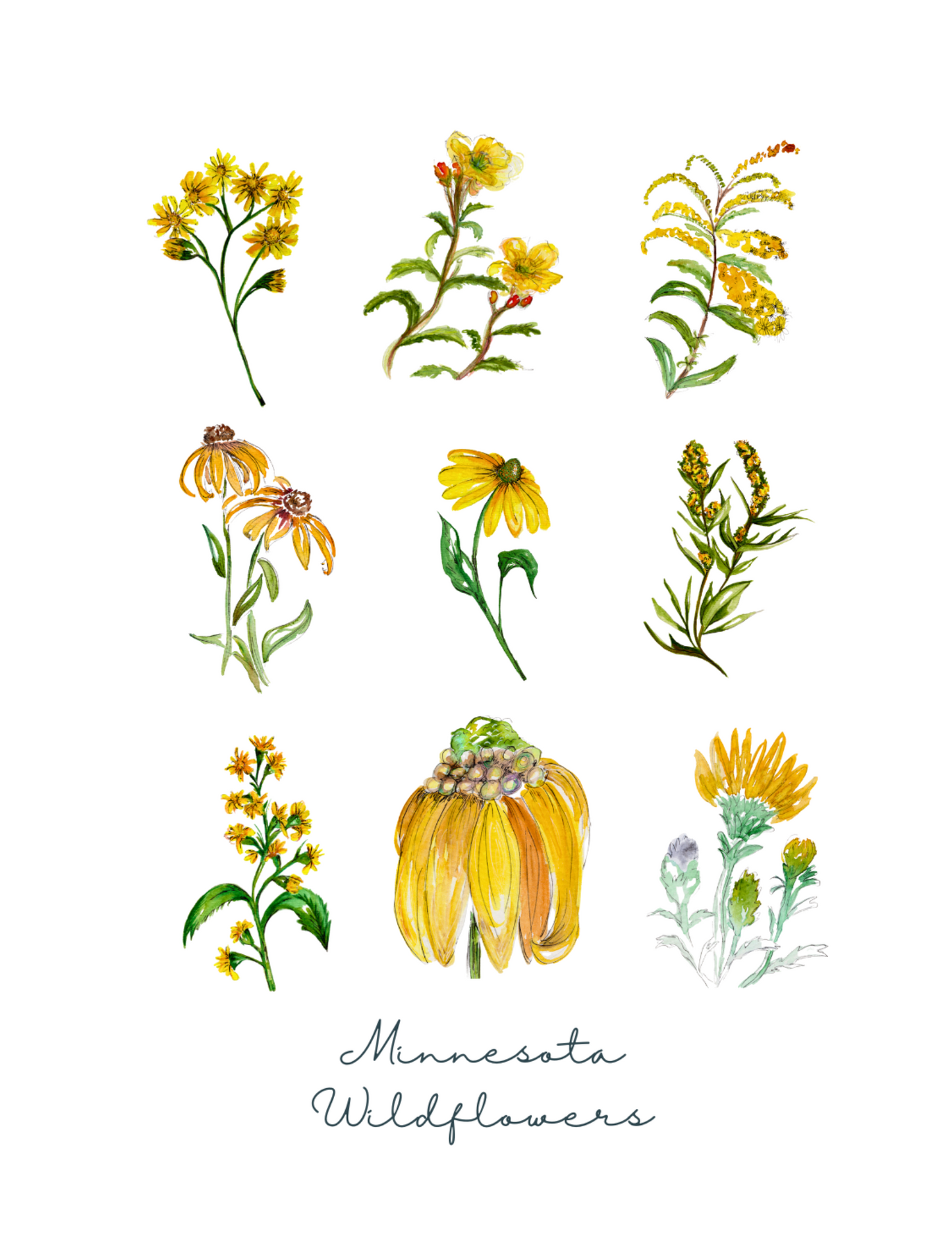 Wildflower Collection Greeting Card