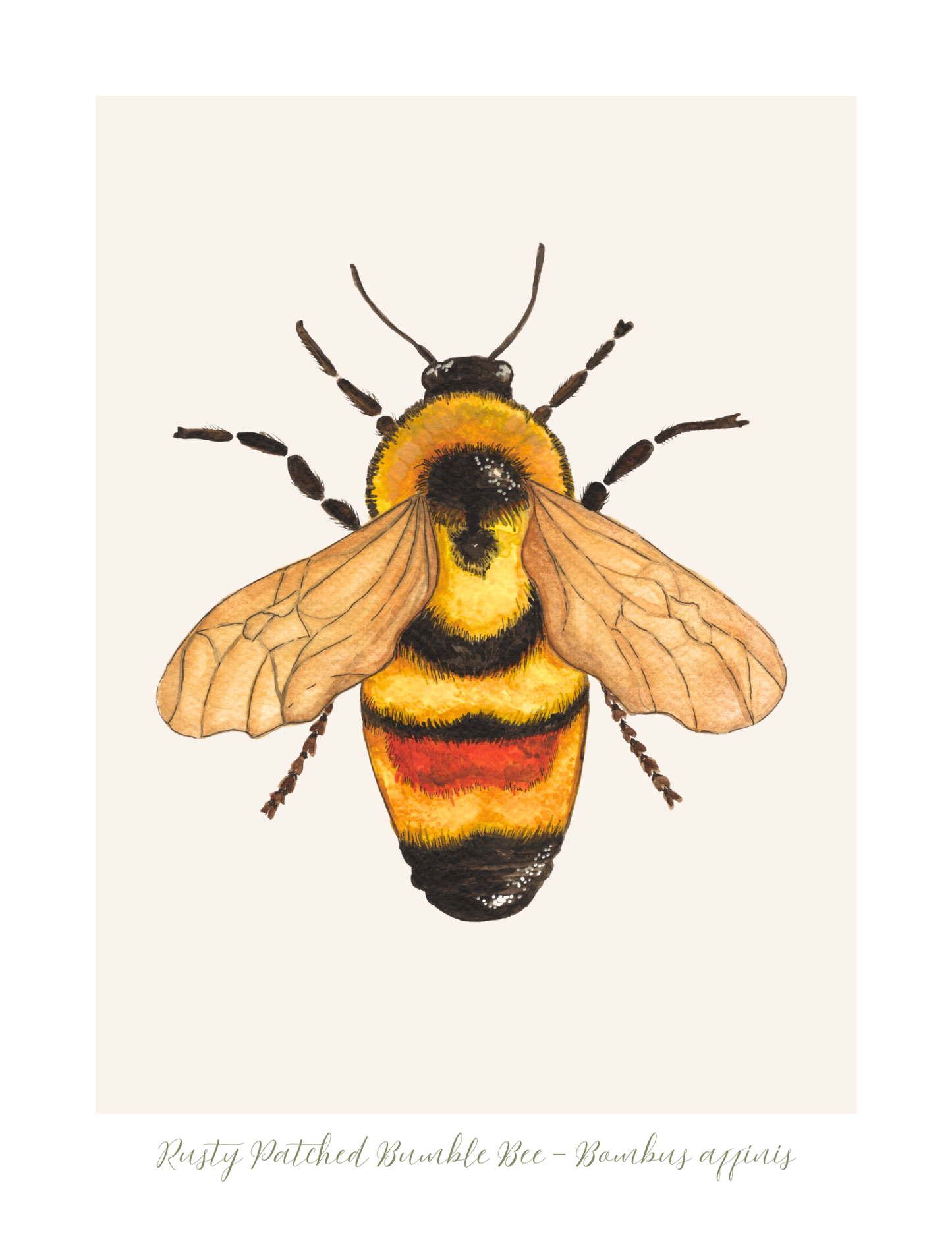 Bumblebee Watercolor Print