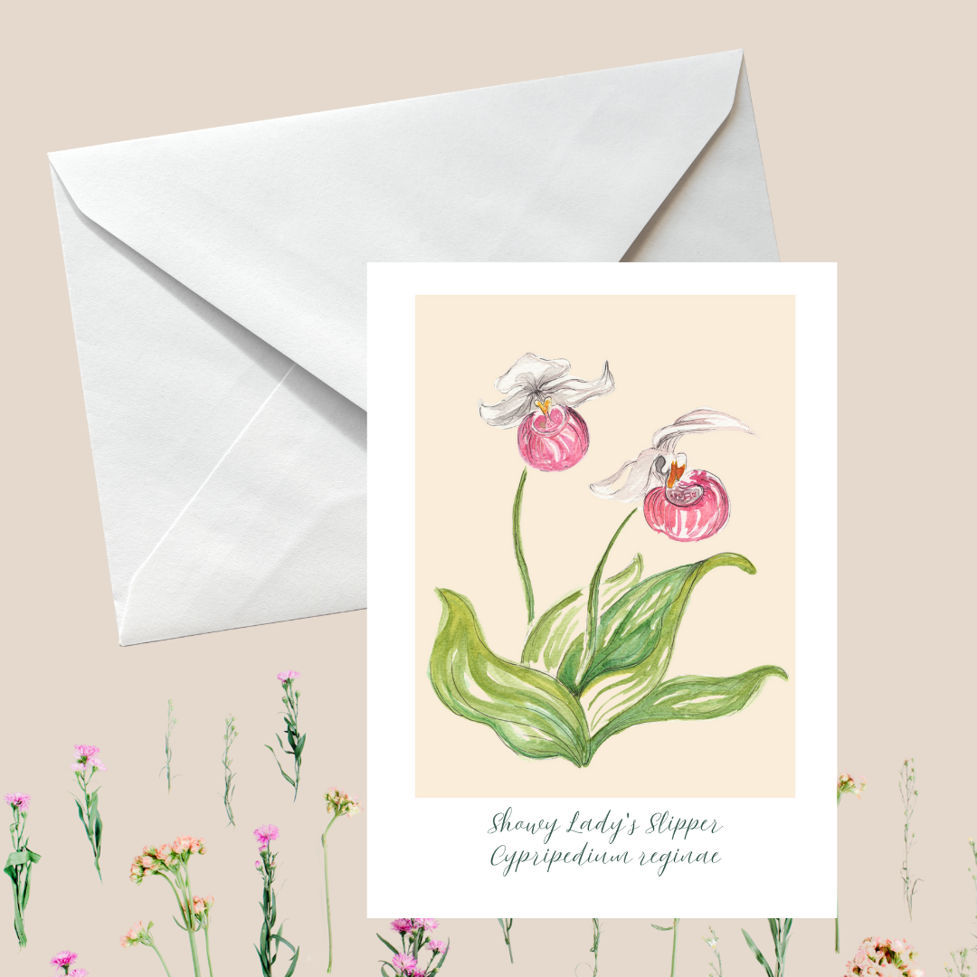 Botanical Lady Slipper Greeting card
