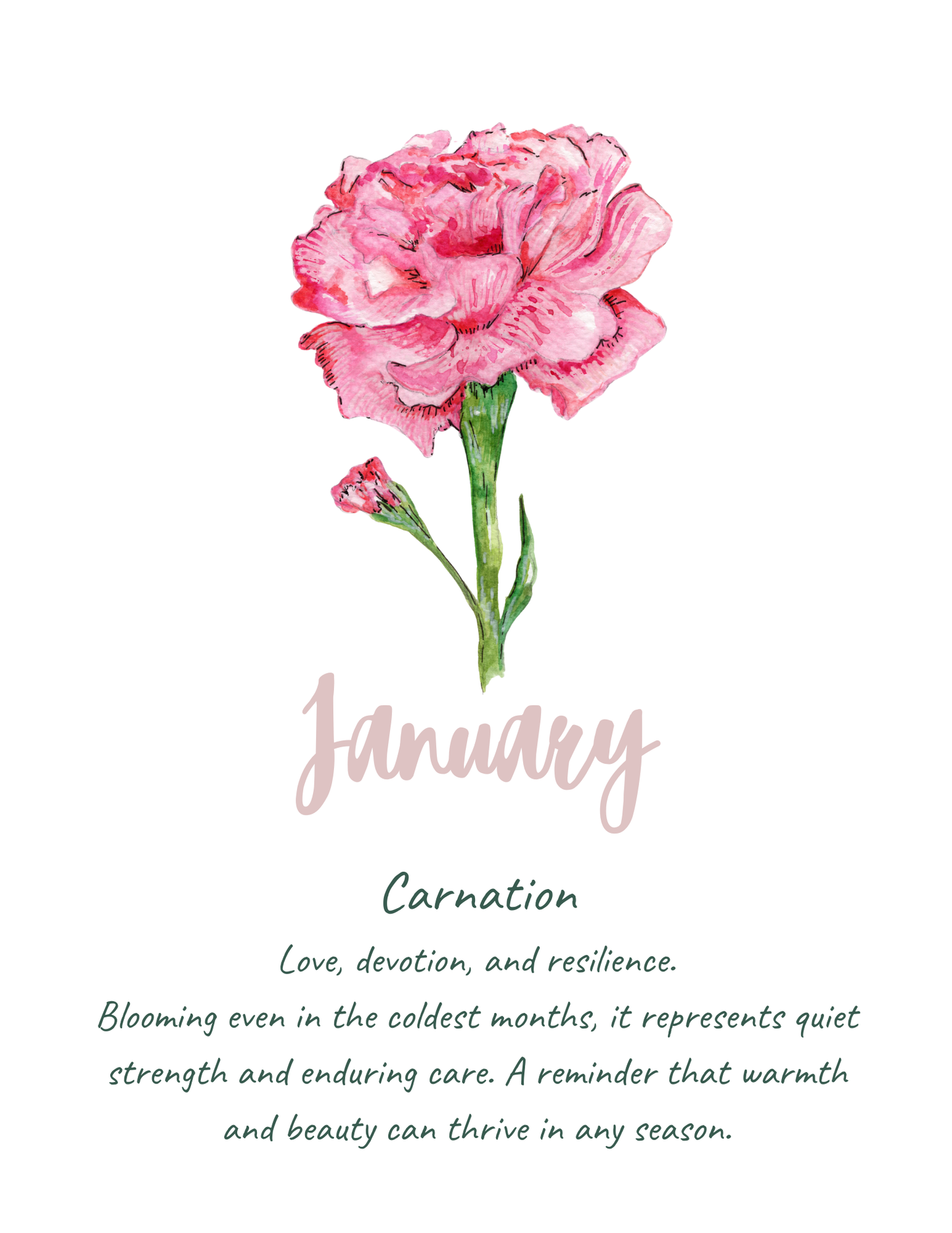 Birth flower meaning prints