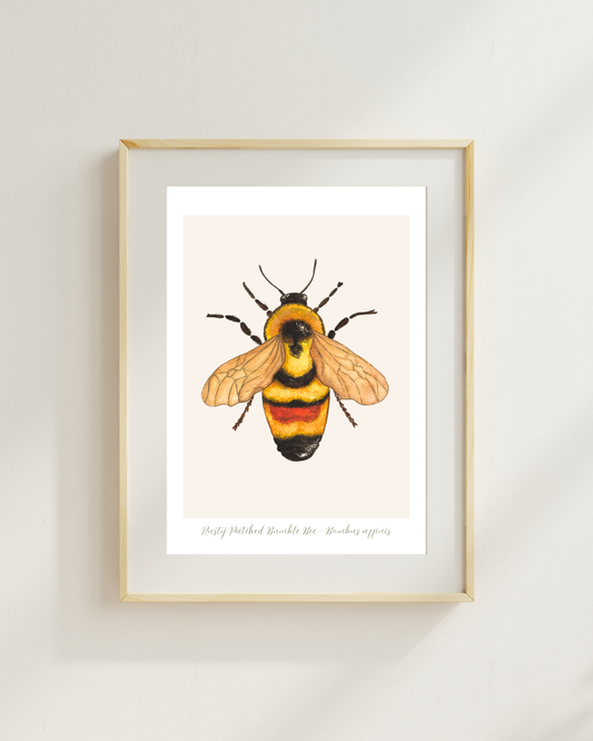 Bumblebee Watercolor Print