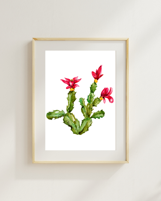 Christmas Cactus Print