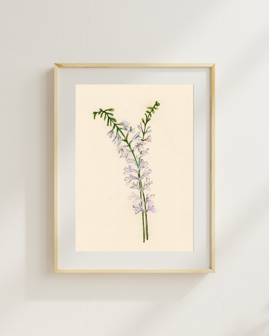 Watercolor Print Wildflower