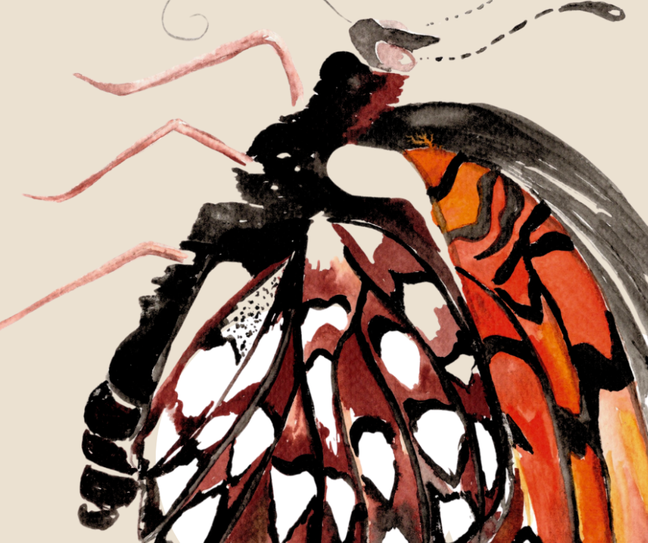 Regal Fritillary butterfly print