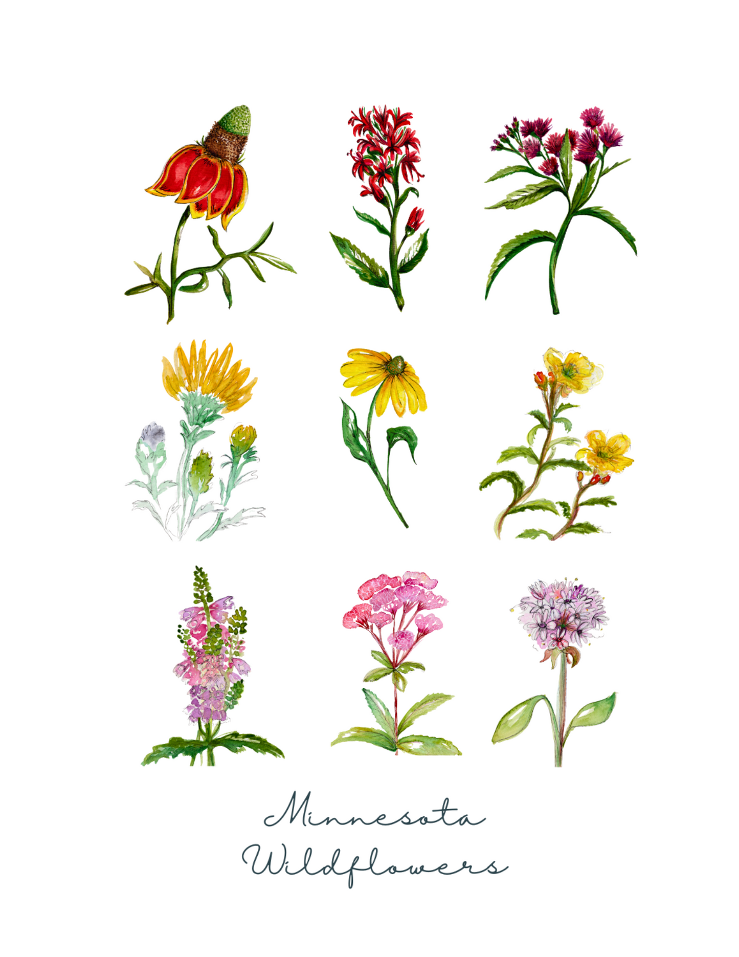 Wildflower Collection Greeting Card