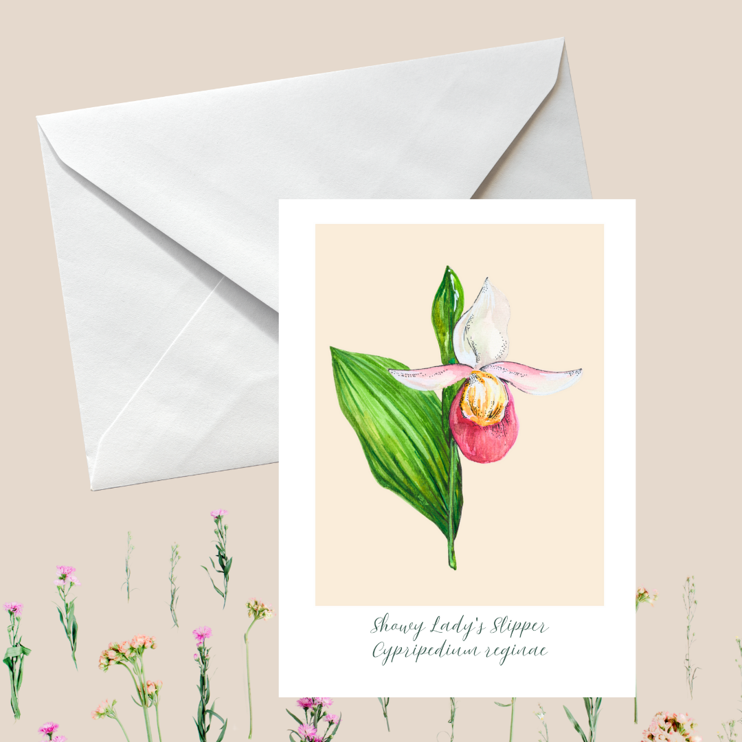 Botanical Lady Slipper Greeting Card
