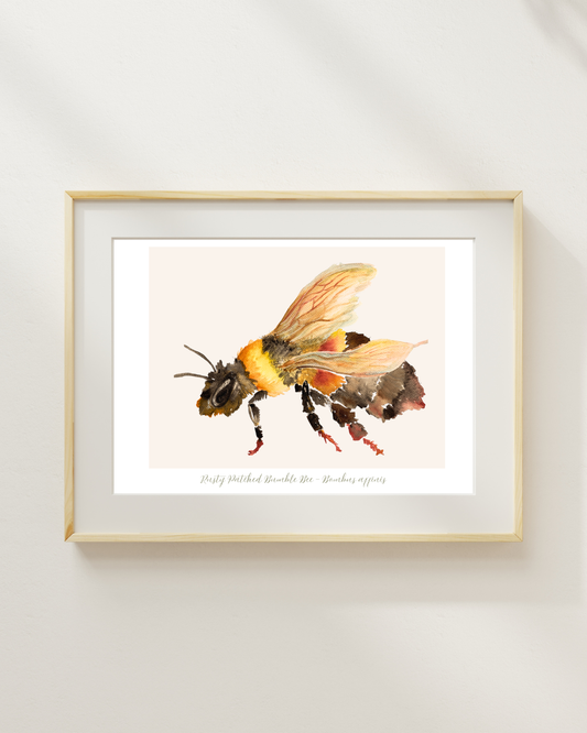 Bumblebee Watercolor Print