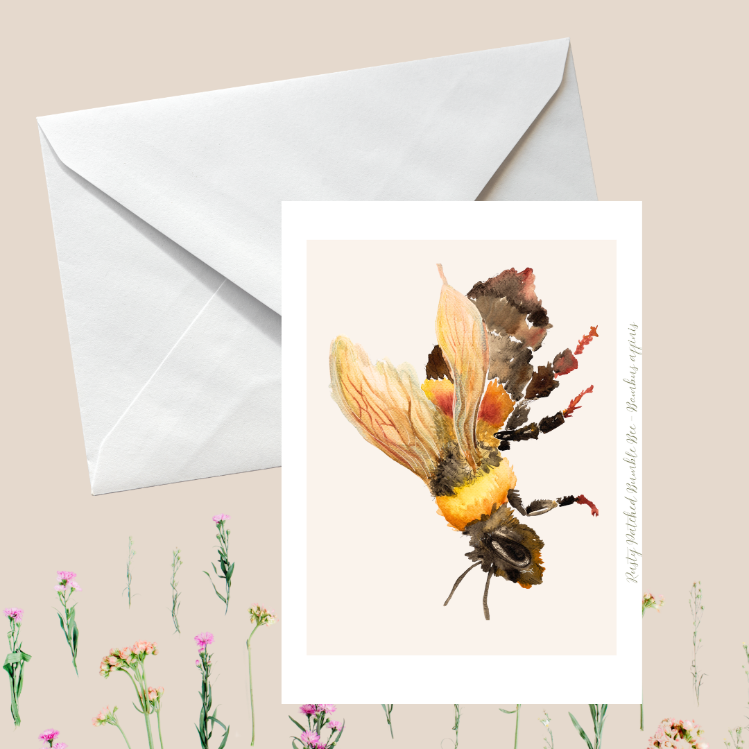 Bumblebee Greeting Card