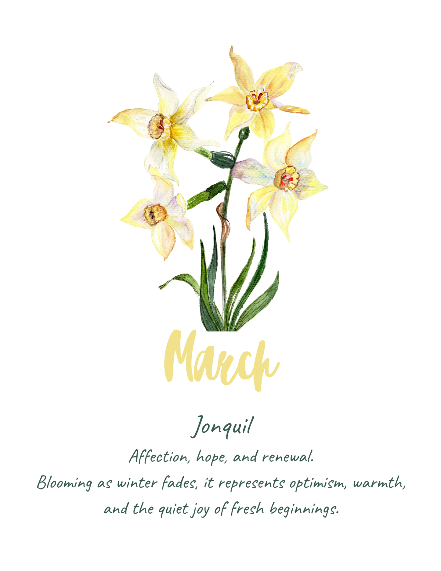 Flower meaning cards