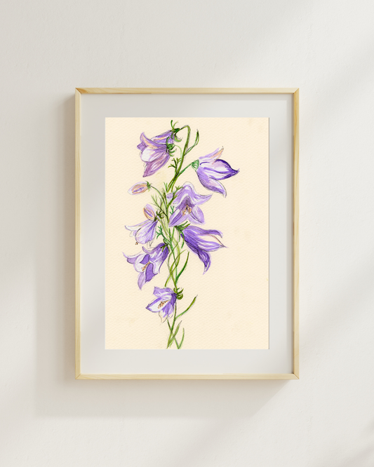Watercolor Print Wildflower