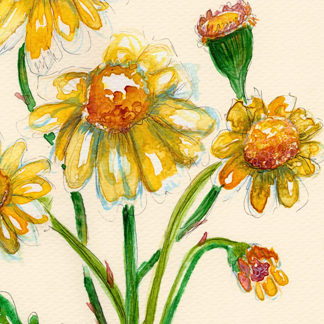 Watercolor Print Wildflower