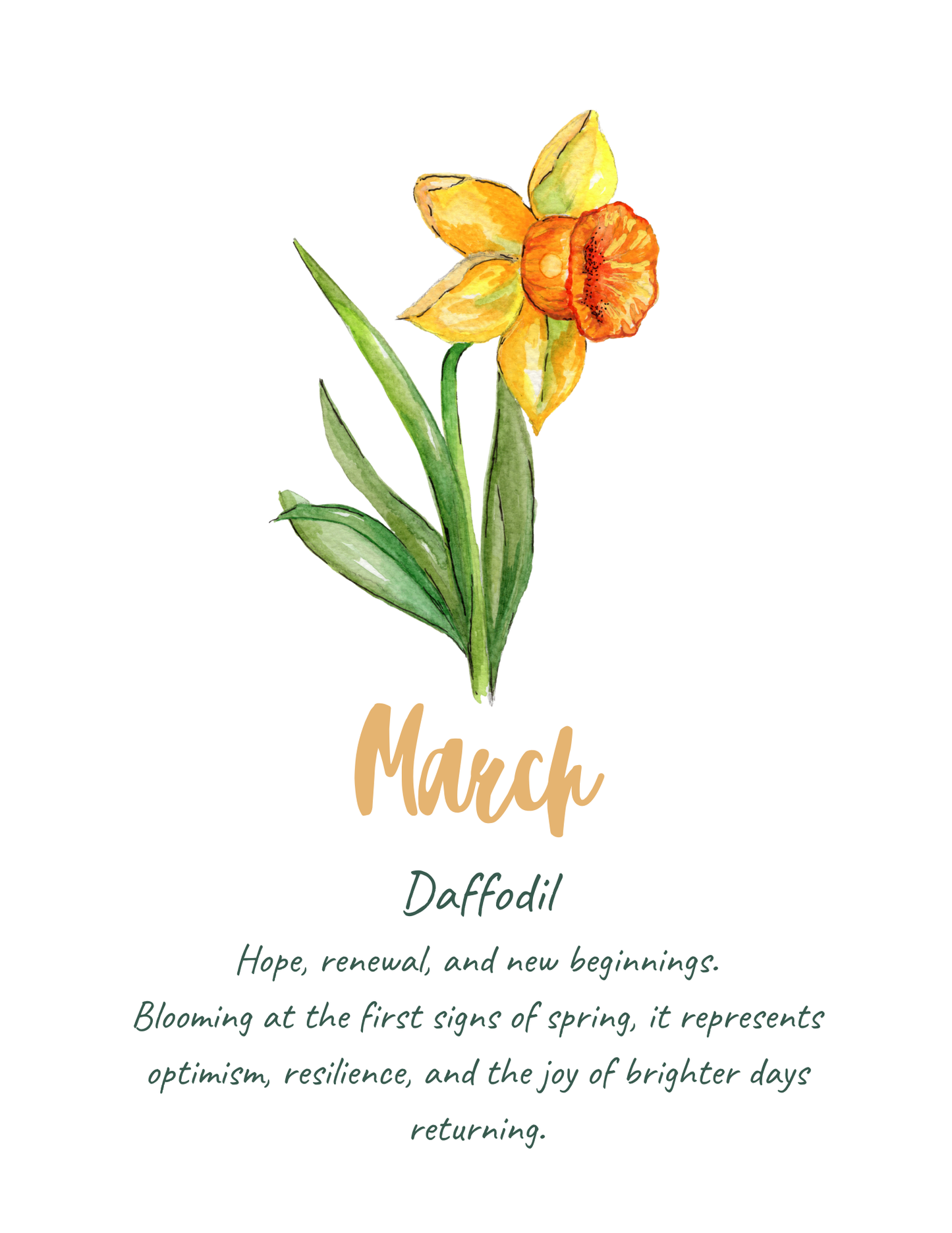 Flower meaning cards