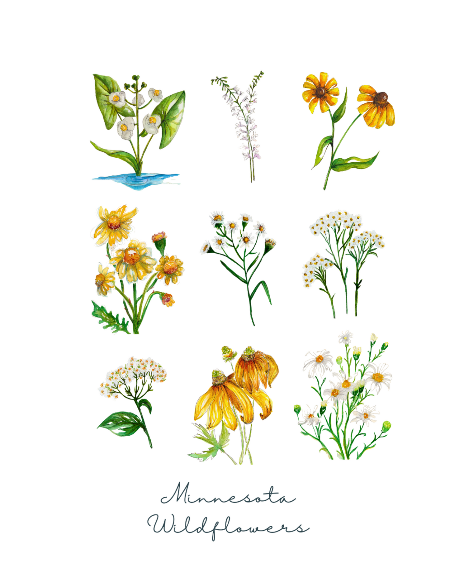 Wildflower Collection Greeting Card