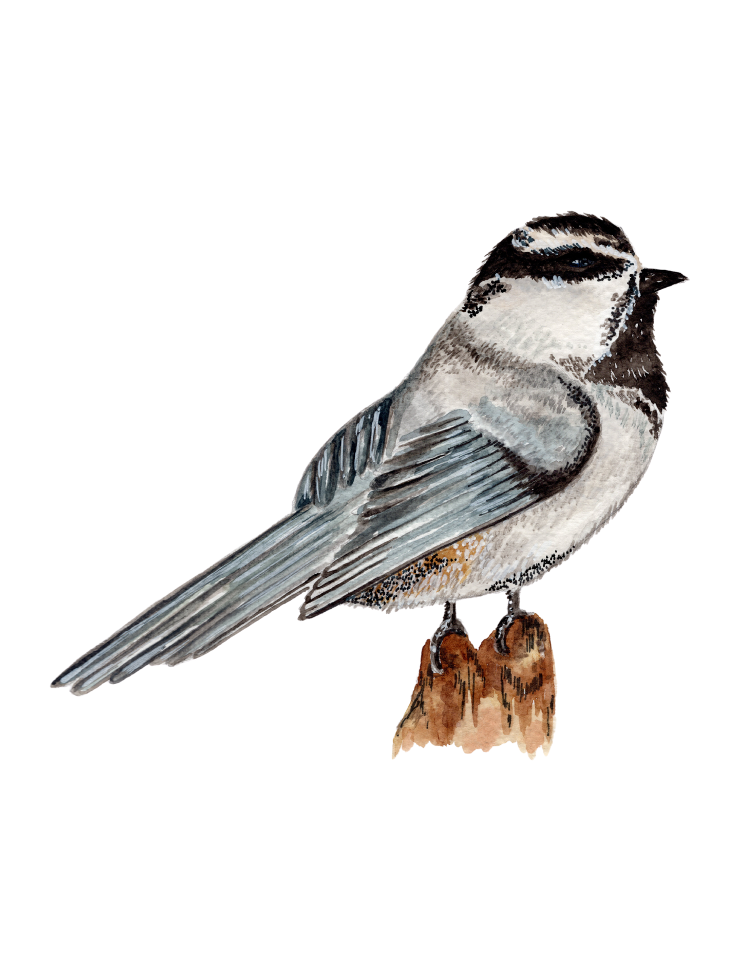 Chickadee Christmas Print