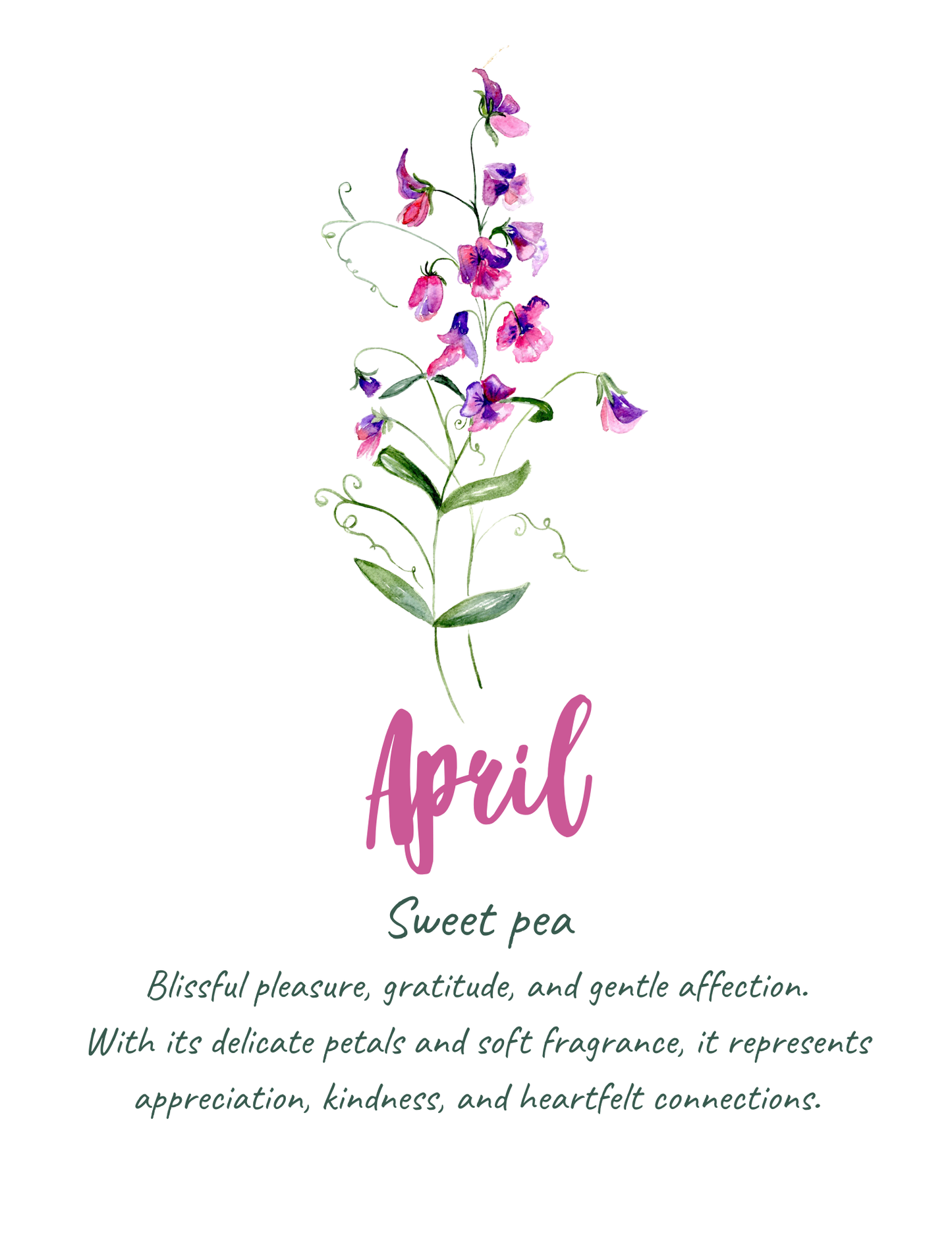 Flower meaning cards