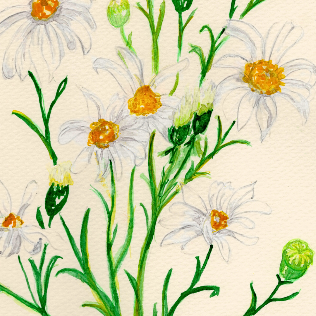 Watercolor Print Wildflower
