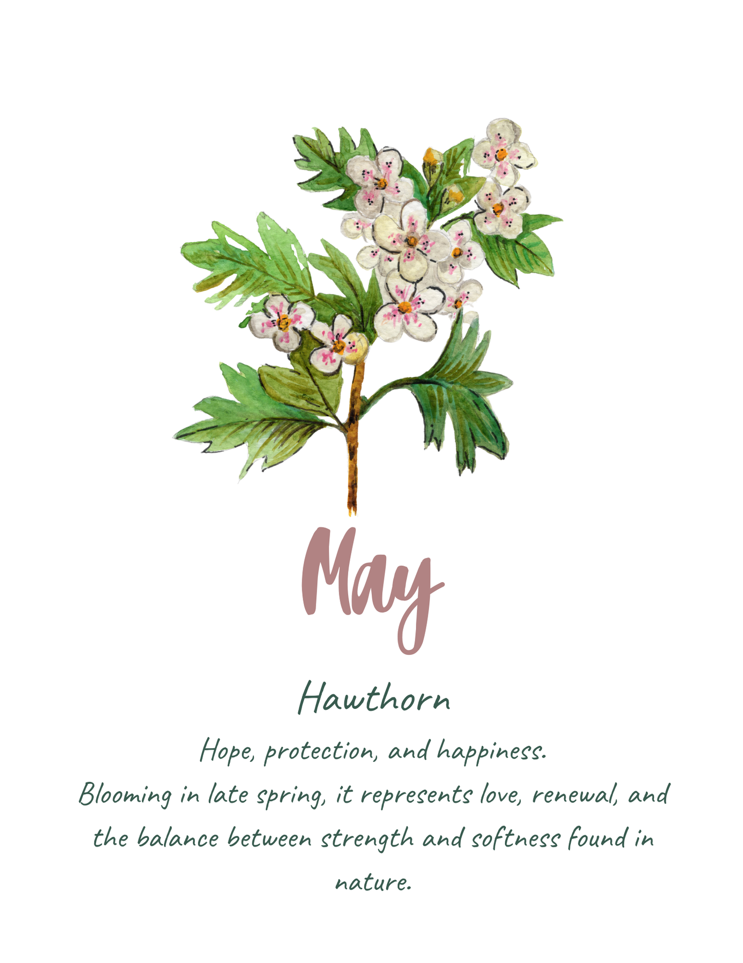 Birth flower meaning prints