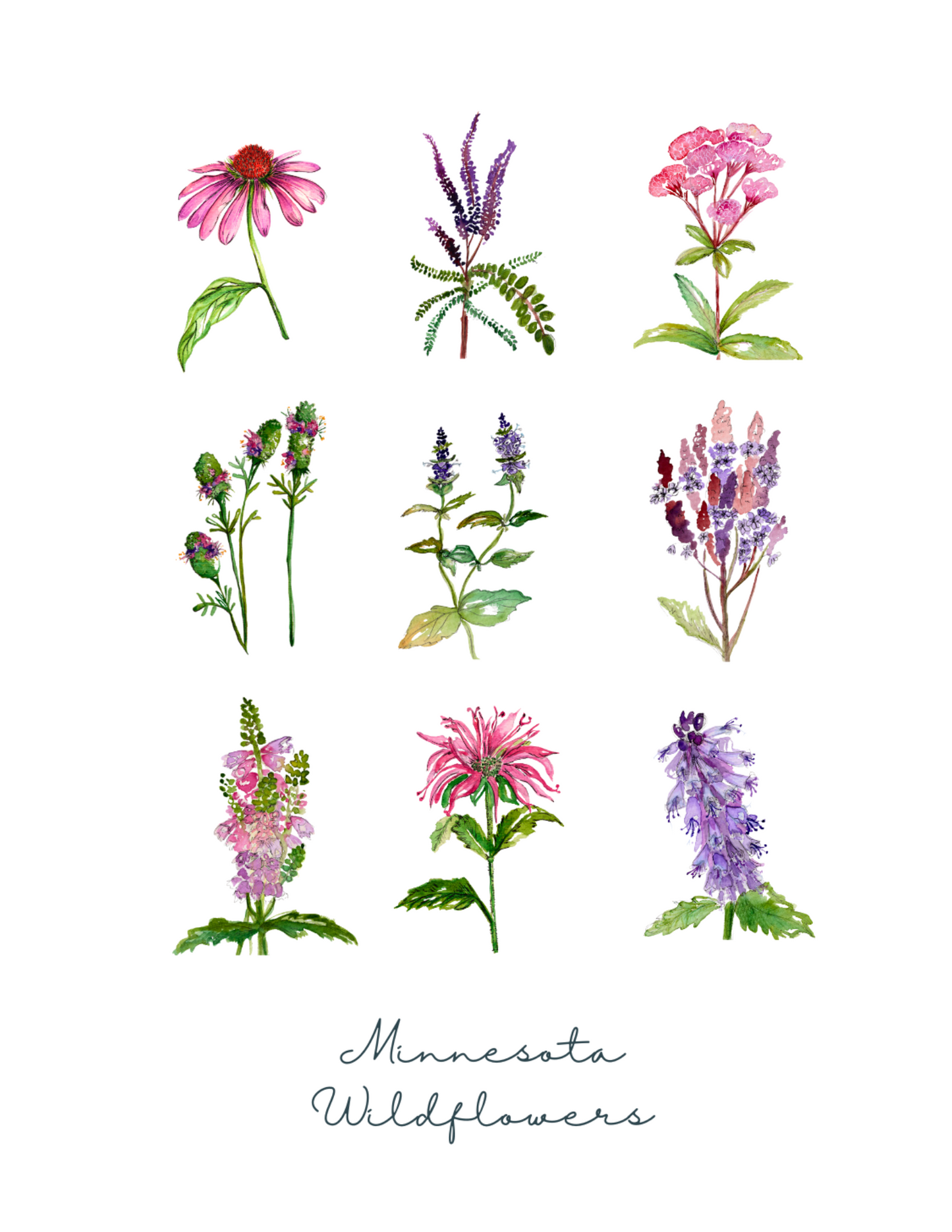 Wildflower Collection Greeting Card