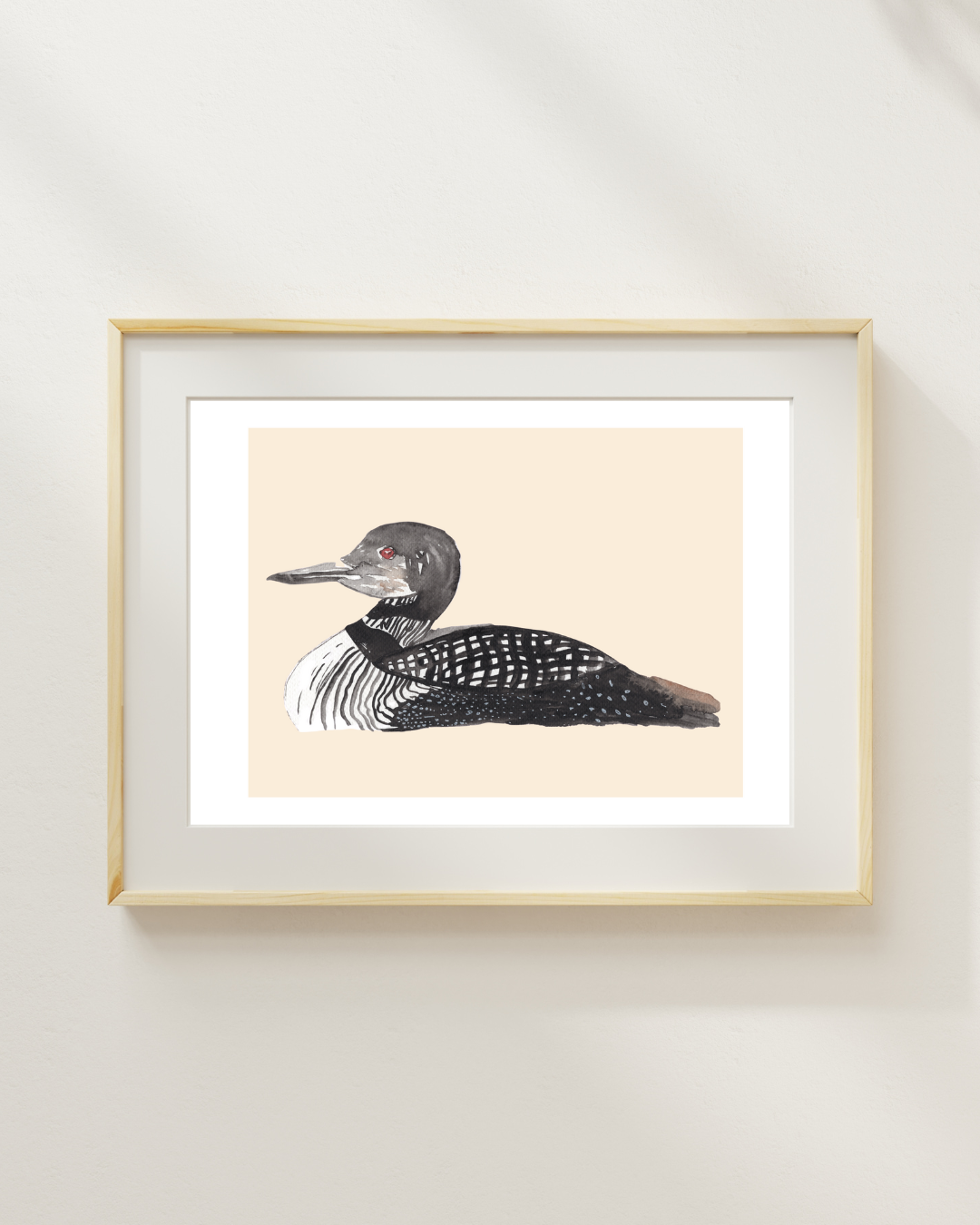 Common Loon Watercolor print