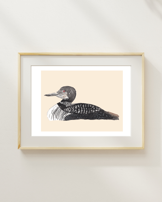 Common Loon Watercolor print