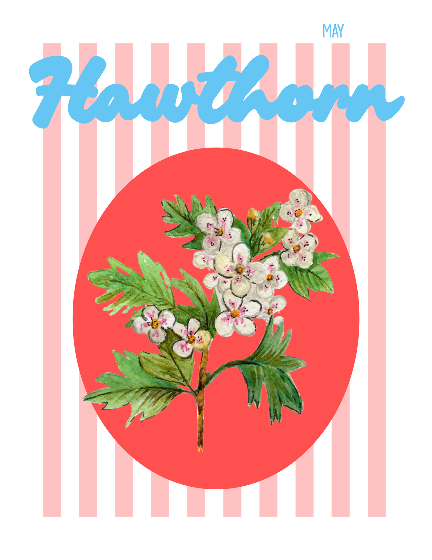 Birth flower print Hawthorn
