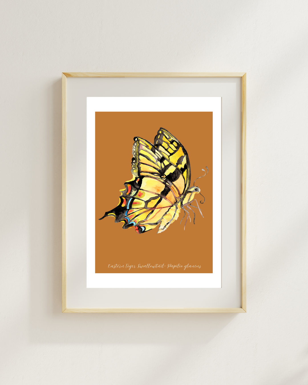 Eastern Tiger swallowtail butterfly print