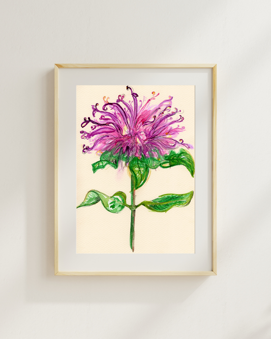Watercolor Print Wildflower