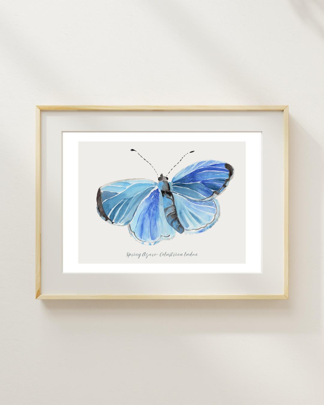 Spring Azure butterfly print