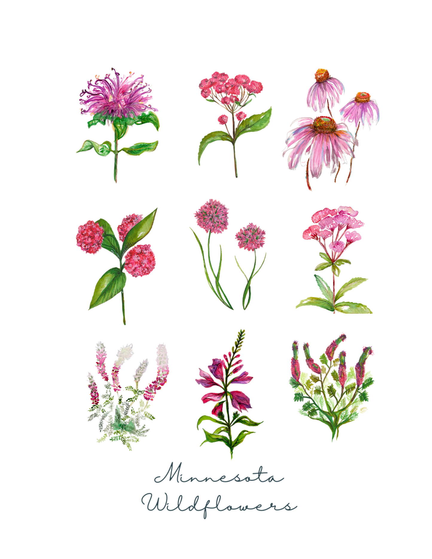 Wildflower Collection Greeting Card