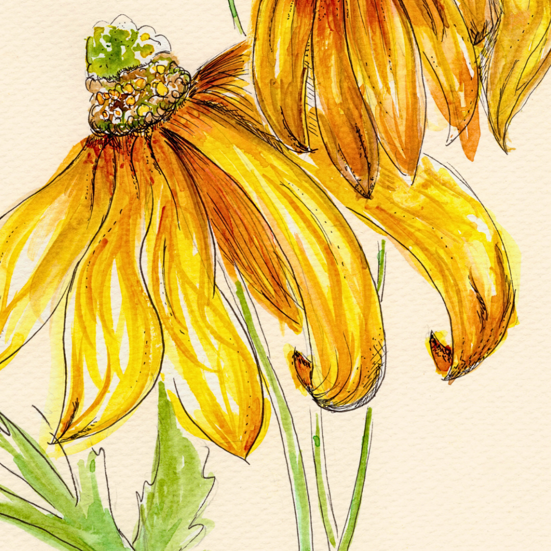 Watercolor Print Wildflower