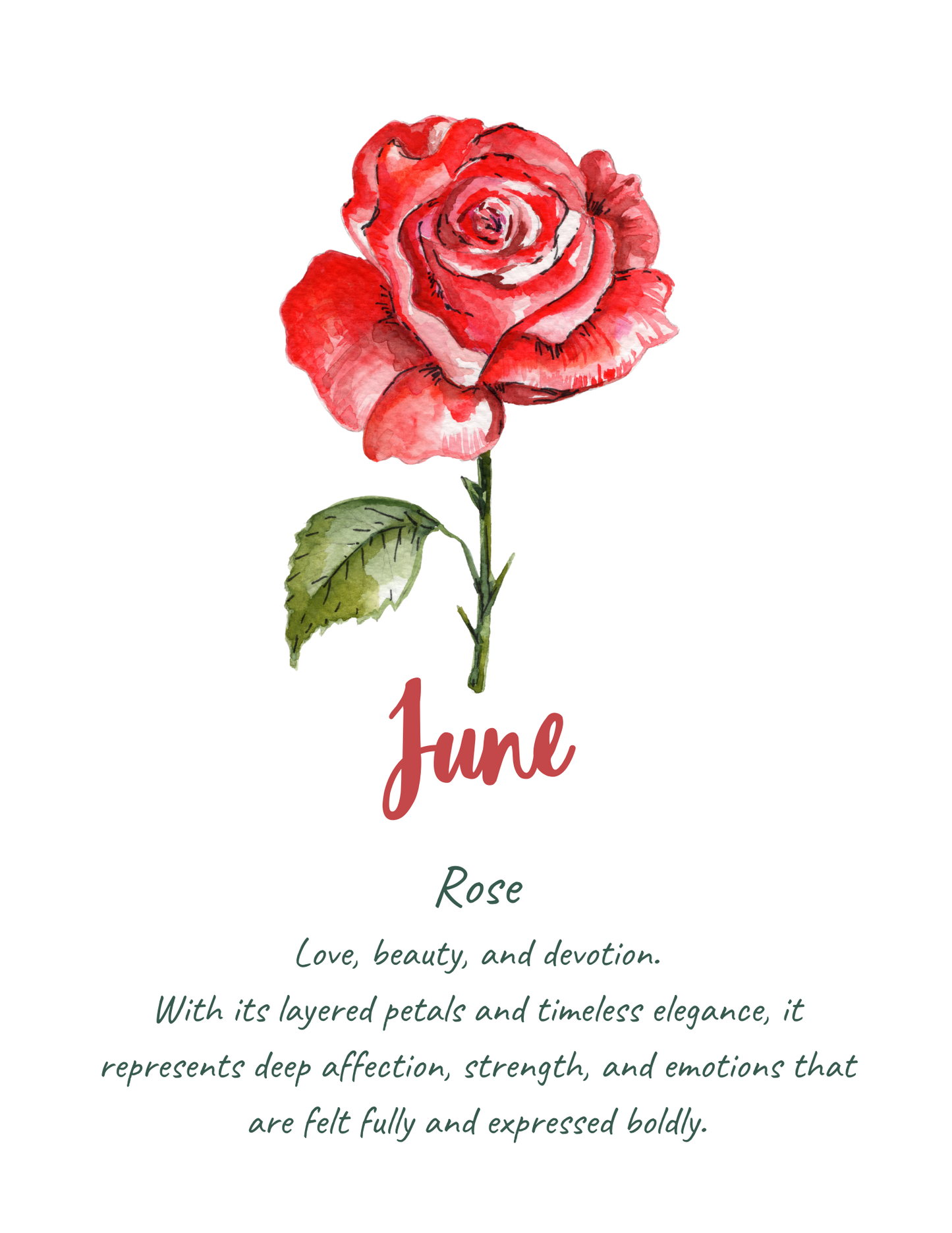 Birth flower meaning prints