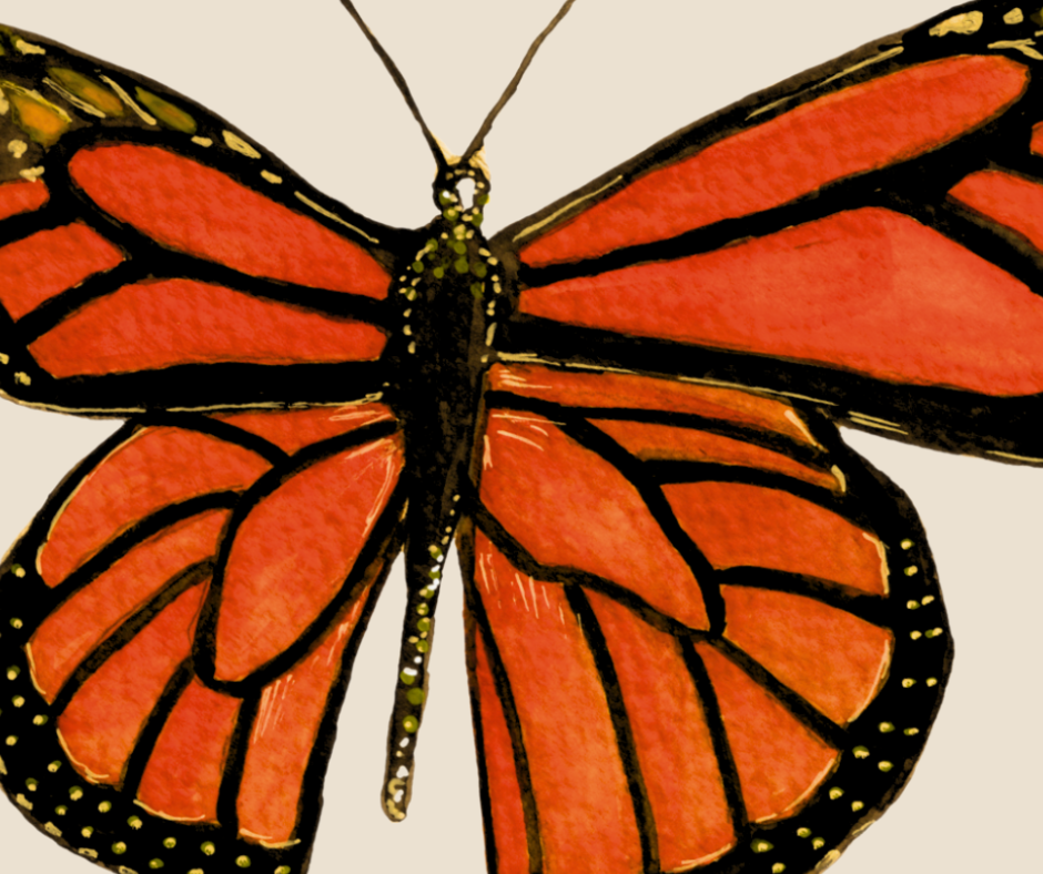 Monarch butterfly print