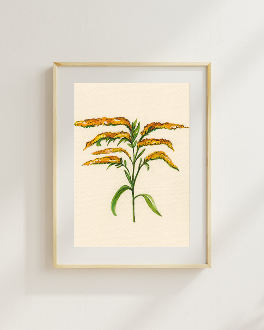 Watercolor Print Wildflower