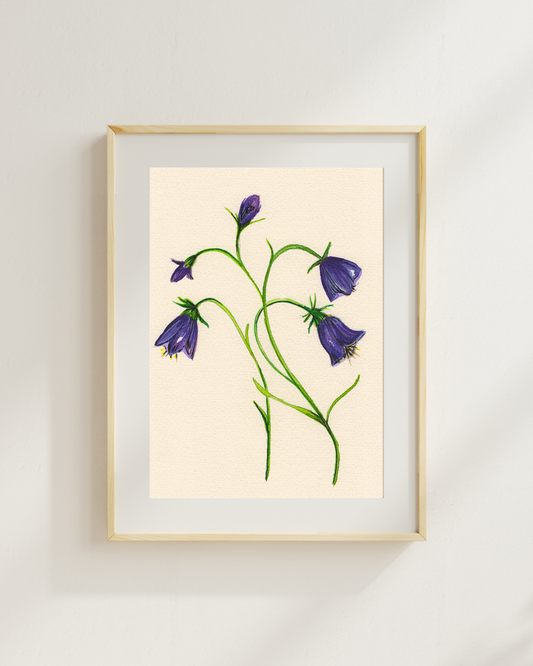 Watercolor Print Wildflower