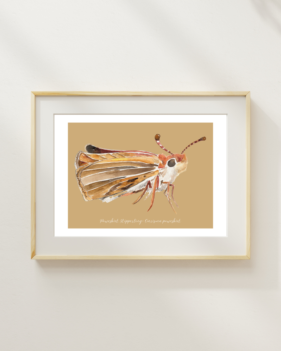 Poweshiek Skipperling butterfly print