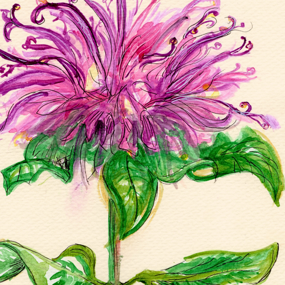 Watercolor Print Wildflower