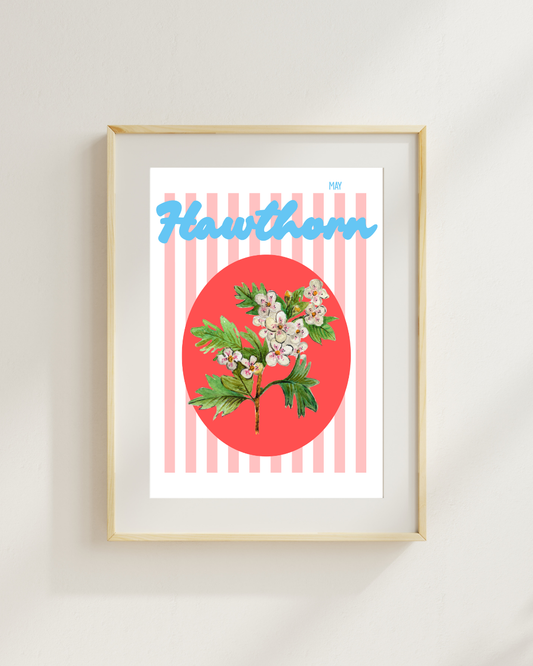 Birth flower print Hawthorn