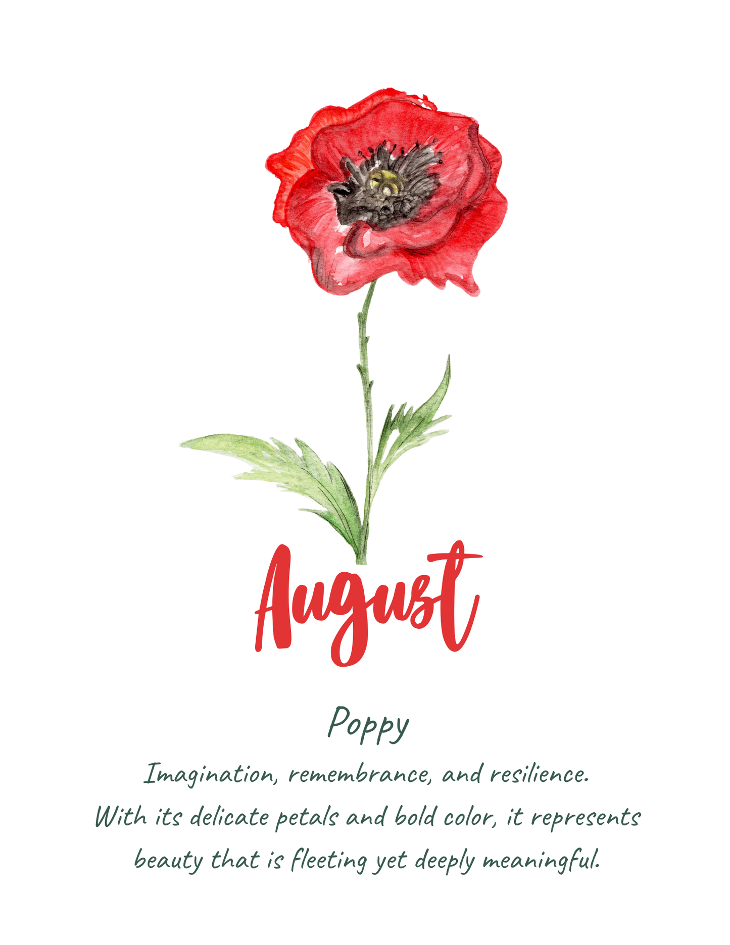 Flower meaning cards