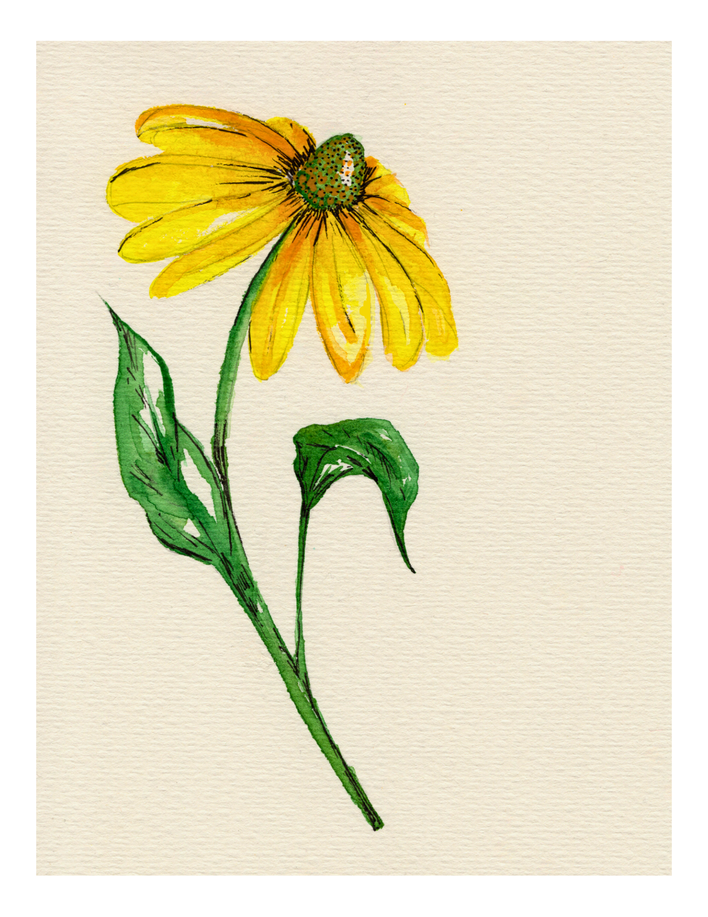 Watercolor Print Wildflower